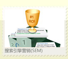 搜索引擎营销(SEM)